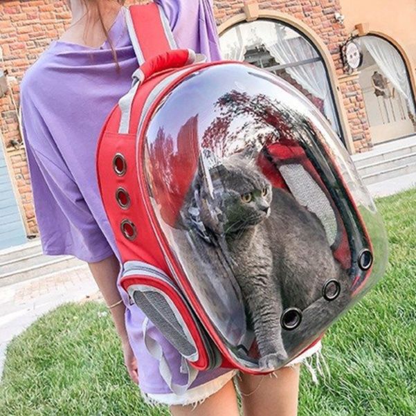 猫グッズ 防災グッズ 透明窓付き猫用避難キャリーリュック