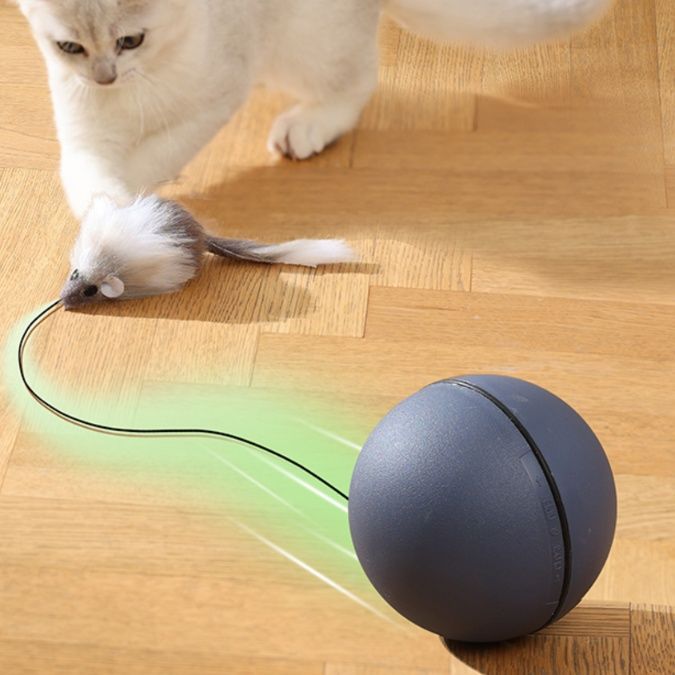 猫が喜ぶ！快適な暮らしをサポートする人気の猫用グッズおすすめ5選