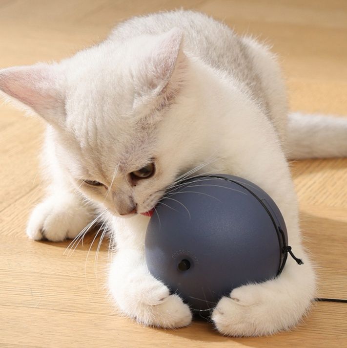 猫グッズ 運動不足解消グッズ 夢中になる猫用知能玉 遊びながら運動促進