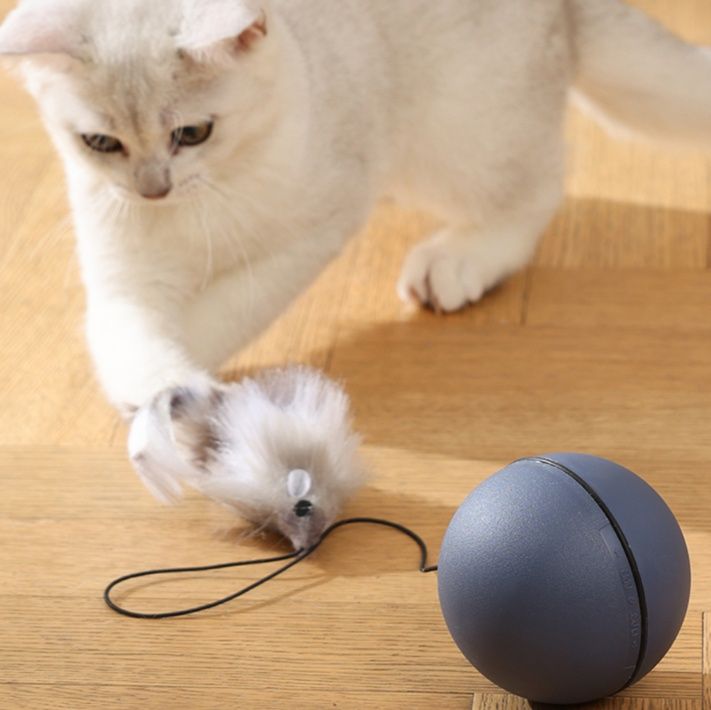 猫グッズ 運動不足解消グッズ 夢中になる猫用知能玉 遊びながら運動促進