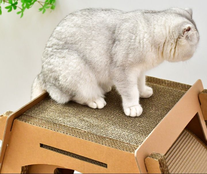猫グッズ 運動不足解消グッズ 多機能遊動回転プレイボックス