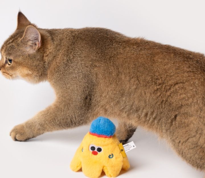 ついついあつめたくなる♪かわいい遊び姿が見れるおすすめねこグッズ5選