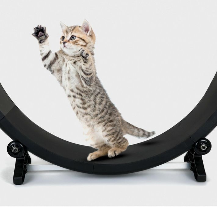 猫グッズ 運動不足解消グッズ まわり猫タワー 回転ランニングホイール