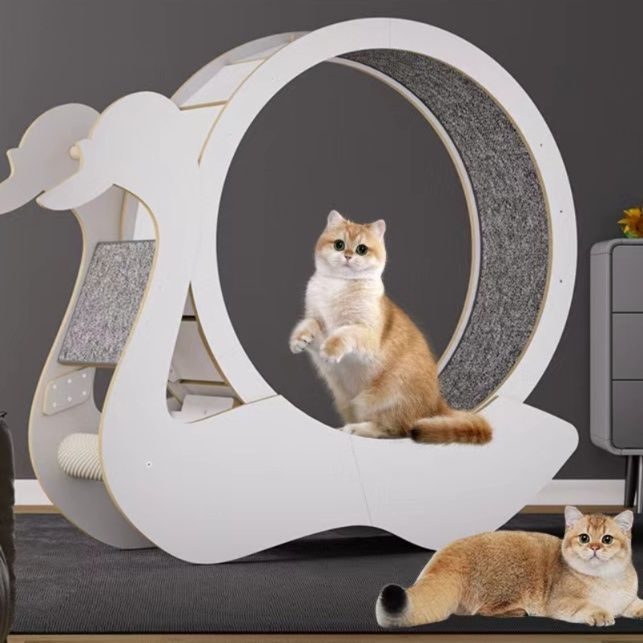 出しっぱなしでも大丈夫！お部屋に馴染む白いおすすめ猫グッズ5選