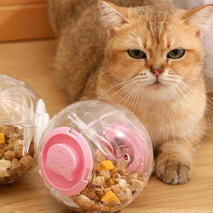 https://fulmo-img-server.com/nyanmono/1743422205790_lliit2wa_0gu2p1dv.jpeg
