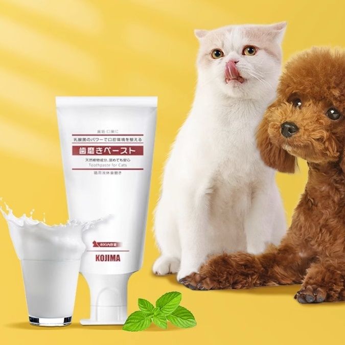 猫グッズ 歯磨きグッズ 愛猫の健康口腔ケア 歯石予防歯磨きジェル
