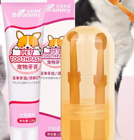 歯磨きグッズ