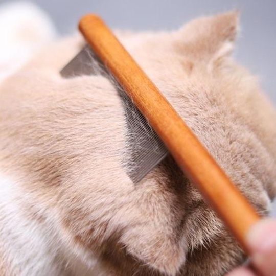 猫グッズ 抜け毛対策グッズ ふわもふケア猫用抜け毛すっきりくし