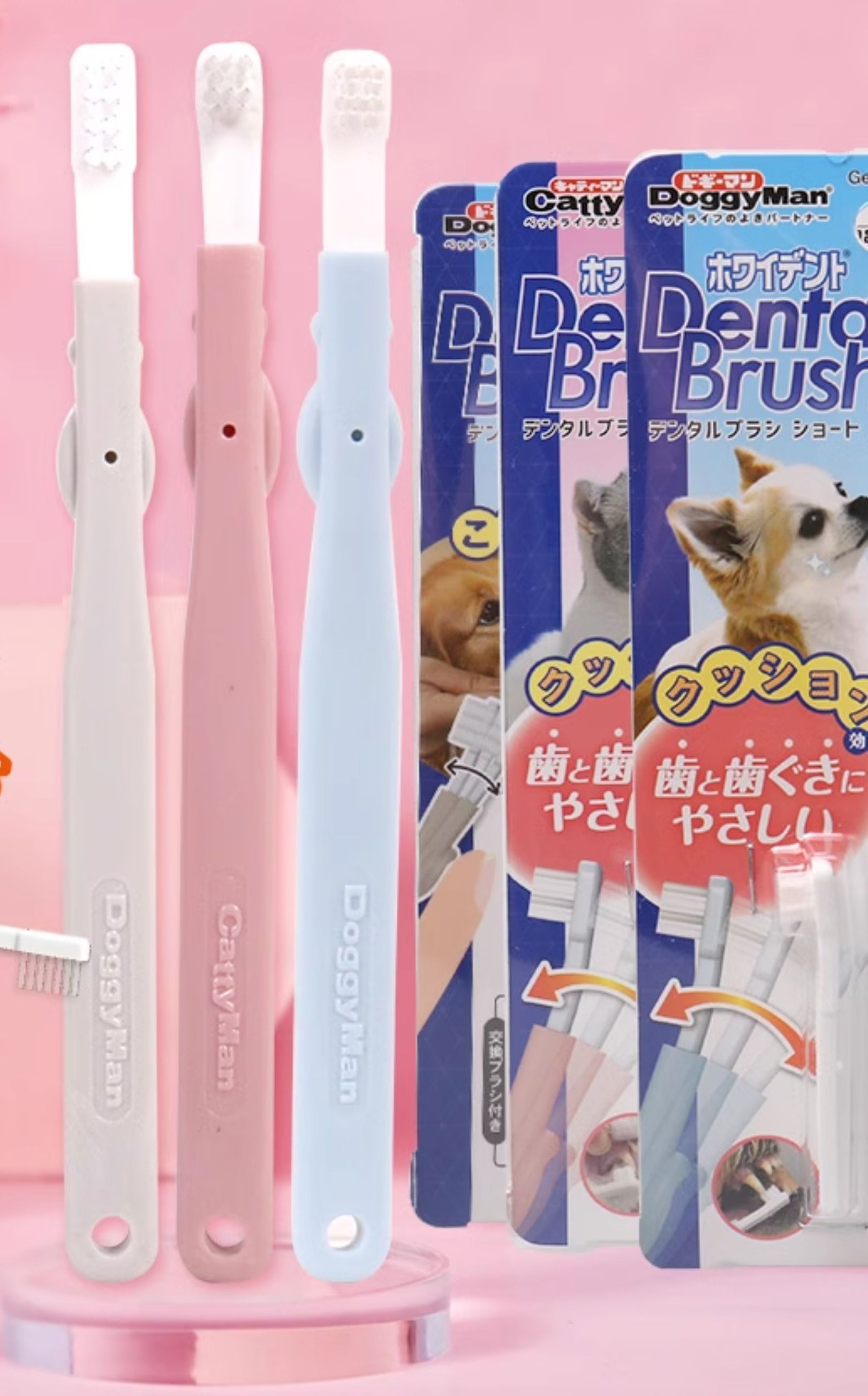 猫グッズ 歯磨きグッズにゃんこのお口ケア 歯ブラシセット