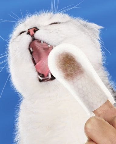 猫グッズ 歯磨きグッズ ペット用指サック歯みがきシート