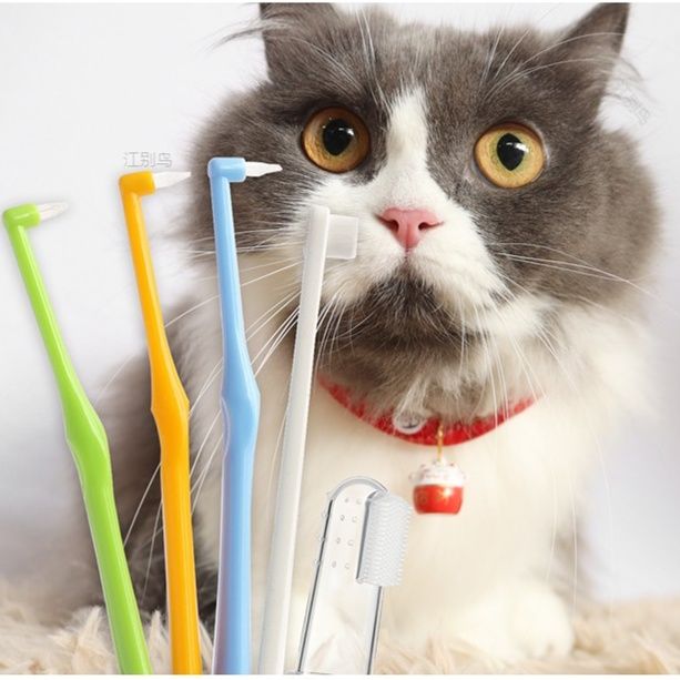 猫グッズ 歯磨きグッズ やさしく磨ける猫用歯ブラシ
