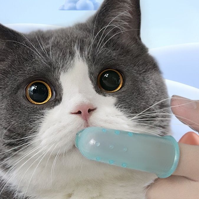 猫グッズ 歯磨きグッズ もふもふ歯ピカ指サック