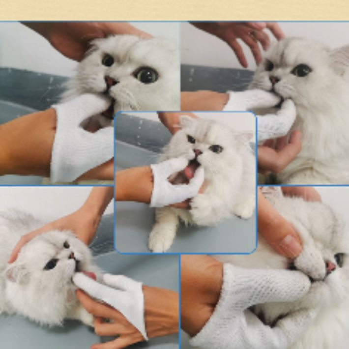 猫グッズ 歯磨きグッズ ふわもこ二本指ペット歯ブラシカバー