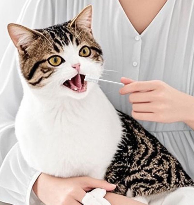 猫グッズ 歯磨きグッズ やさしい綿棒歯ブラシ 愛猫デンタルケア