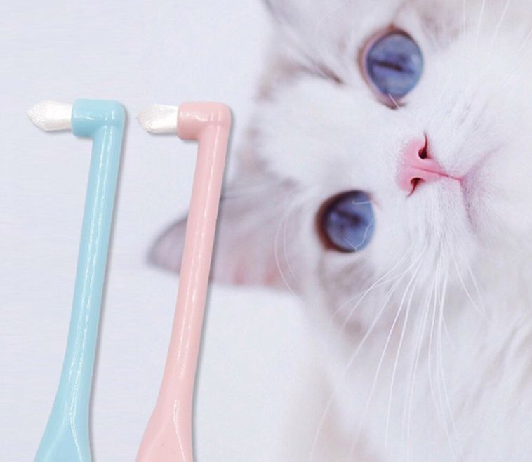 猫グッズ 歯磨きグッズ やさしくケア ペット用歯ブラシ