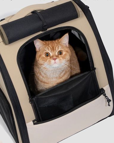 猫グッズ 防災グッズ 愛猫避難用キャリーバックパック