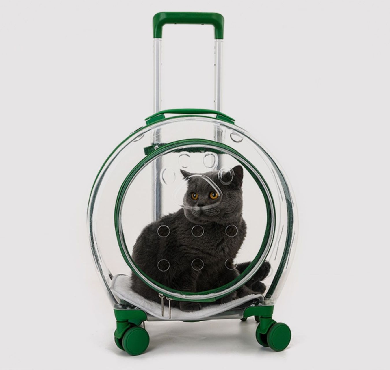 猫グッズ 防災グッズ 猫ちゃん安心バブルキャリー 災害避難用