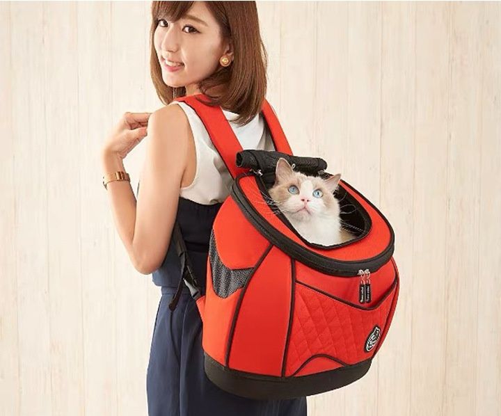 猫グッズ 防災グッズ 猫ちゃん避難用背負いキャリー