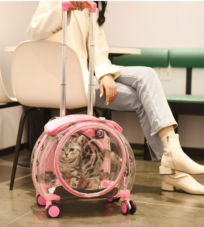猫グッズ 防災グッズ 透明キャットキャリー 災害避難バッグ