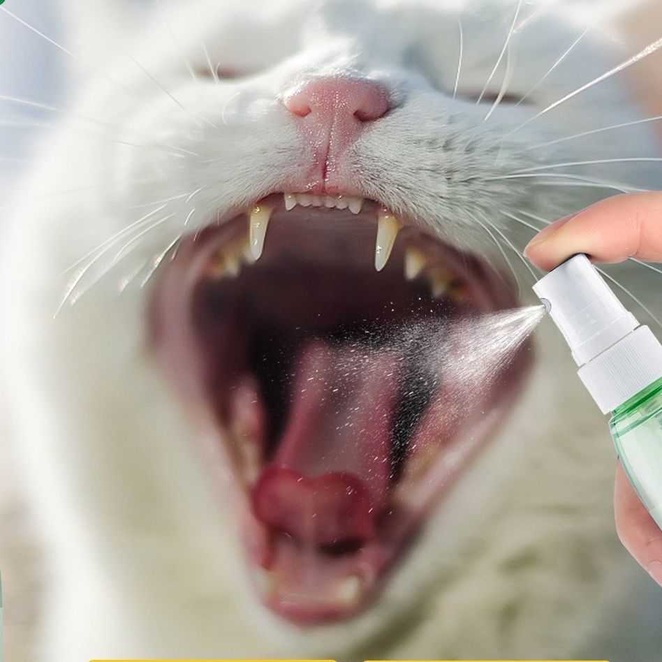 猫グッズ 歯磨きグッズ 猫ちゃん快適口腔ケアスプレー
