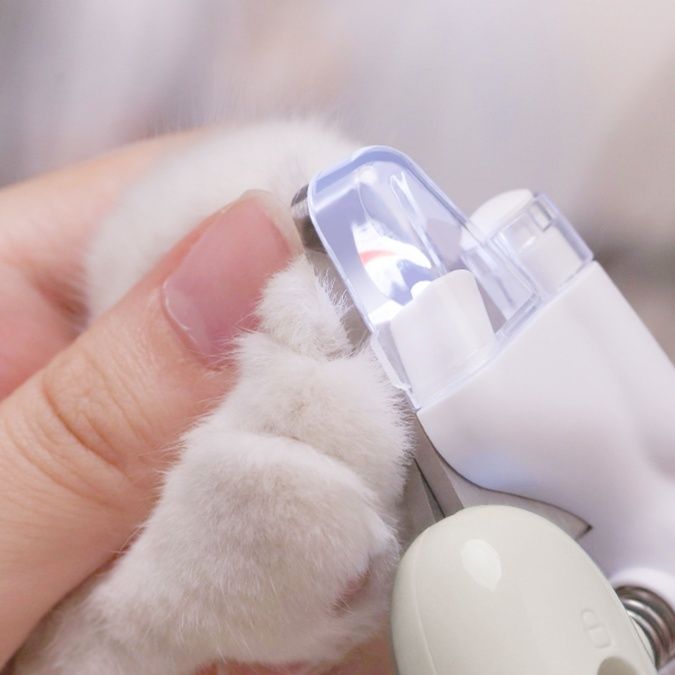 猫グッズ 安心照明付き爪切り 猫ちゃんのための安全カッター
