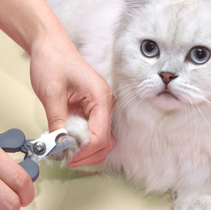 猫グッズ 愛猫のための安心爪切りクリッパー
