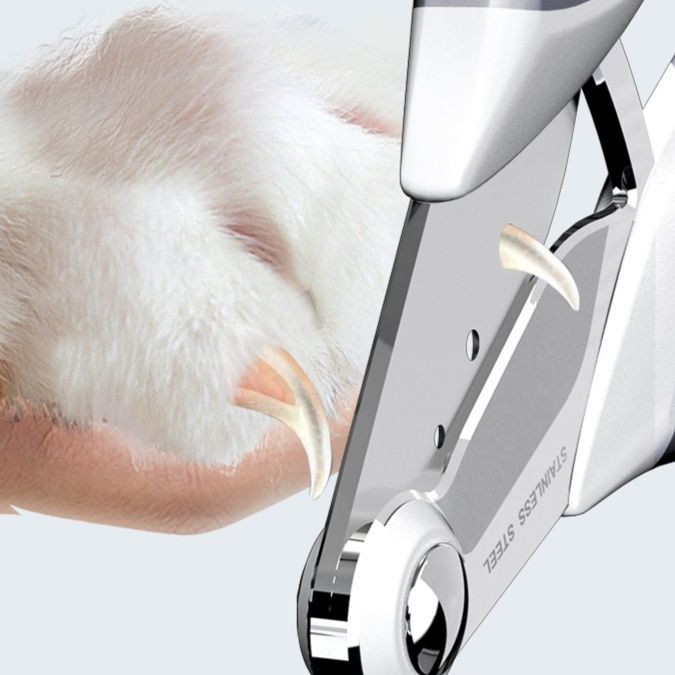 猫グッズ 精密猫爪切り 安心カット
