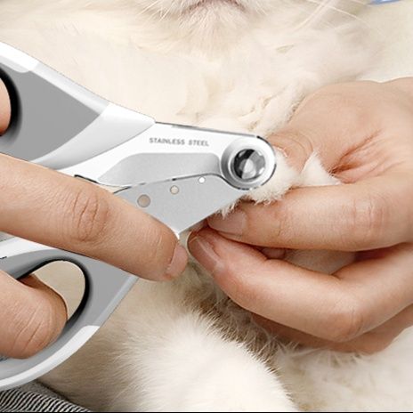 猫グッズ 精密猫爪切り 安心カット