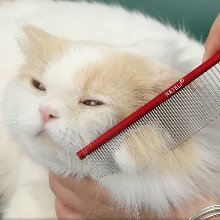 猫グッズ 抜け毛対策グッズ ふわもふ猫ちゃん専用抜け毛ケアコーム