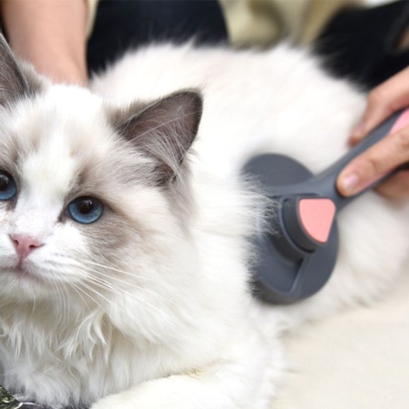 猫グッズ 抜け毛対策グッズ ふわもふケア猫用ブラシ毛玉すっきり