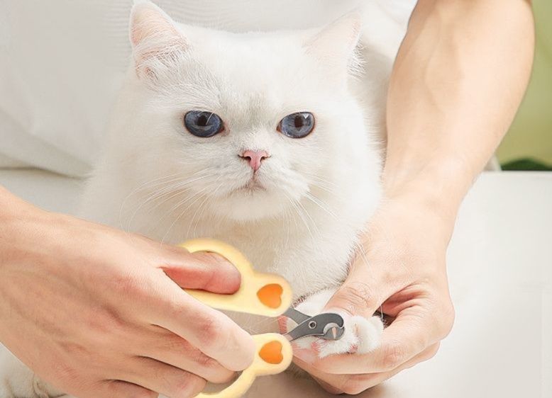 猫グッズ 爪切りグッズ 静音猫用爪切り 