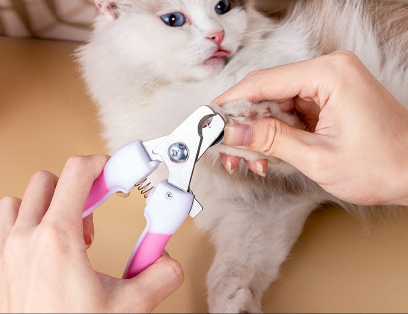 猫グッズ 爪切りグッズ 優しい切れ味ペット用爪切り