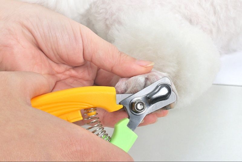猫グッズ 爪切りグッズ 安心ペット爪切り月形刃 