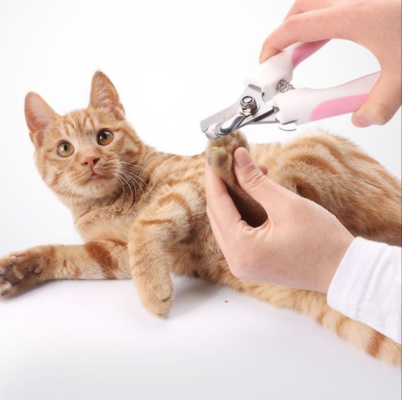 猫グッズ 爪切りグッズ やさしい肉球ケア静音ペット爪切り