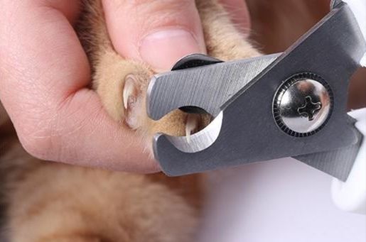 猫グッズ 爪切りグッズ やさしい肉球ケア静音ペット爪切り