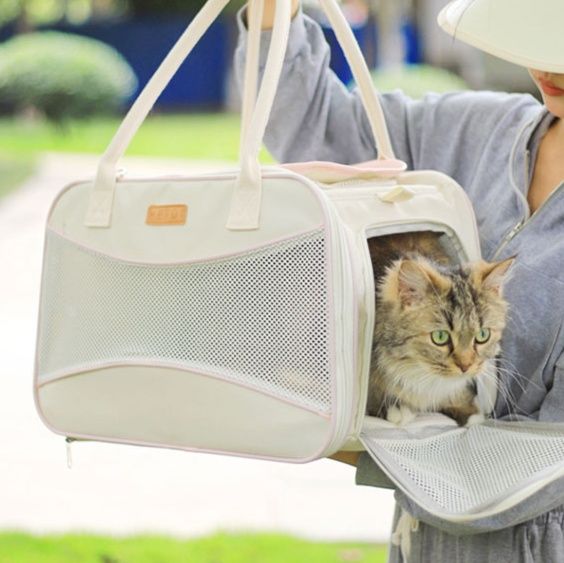 猫グッズ 災害時の猫ちゃん避難キャリーバッグ