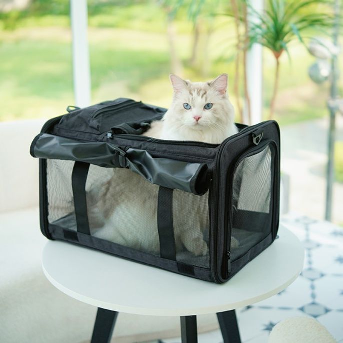 猫グッズ ペット避難用キャリーバッグ