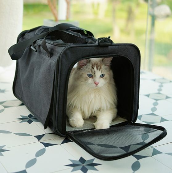 猫グッズ ペット避難用キャリーバッグ