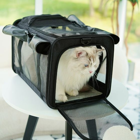猫グッズ ペット避難用キャリーバッグ