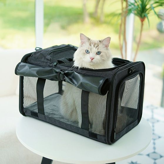 猫グッズ ペット避難用キャリーバッグ