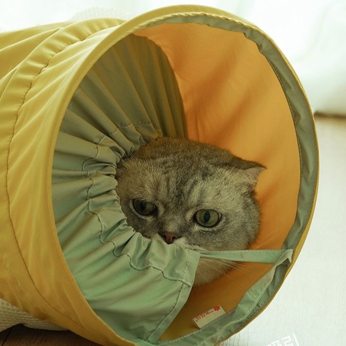 猫グッズ 猫ちゃん冒険トンネル