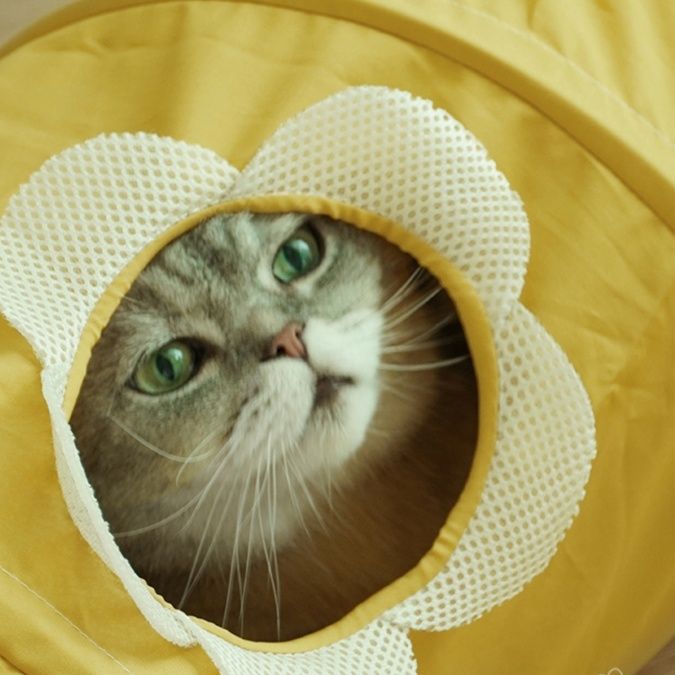 猫グッズ 猫ちゃん冒険トンネル