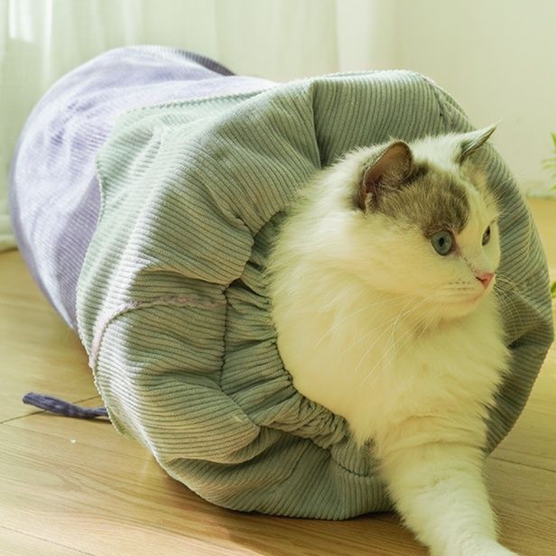 猫グッズ 猫冒険トンネル 運動迷路
