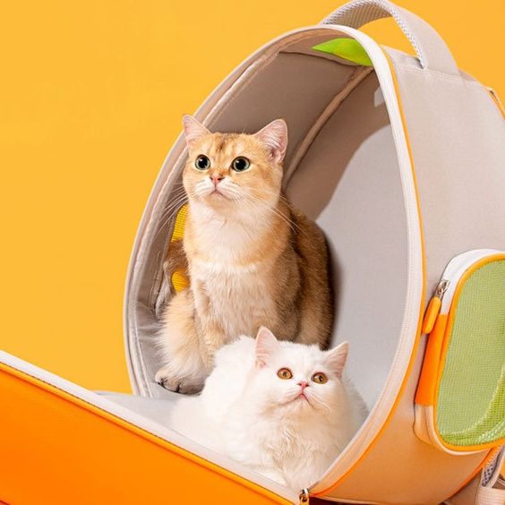 猫グッズ にゃんにゃん避難キャリー