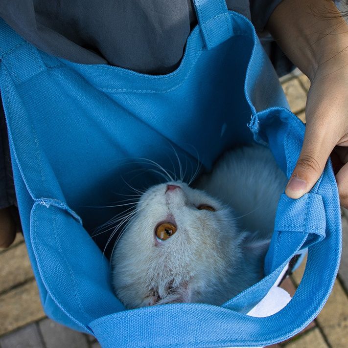 猫グッズ にゃんこ救急バッグ