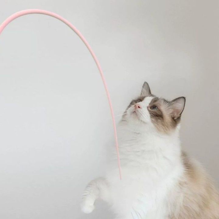 猫グッズ 猫じゃらし弾力ねずみ棒