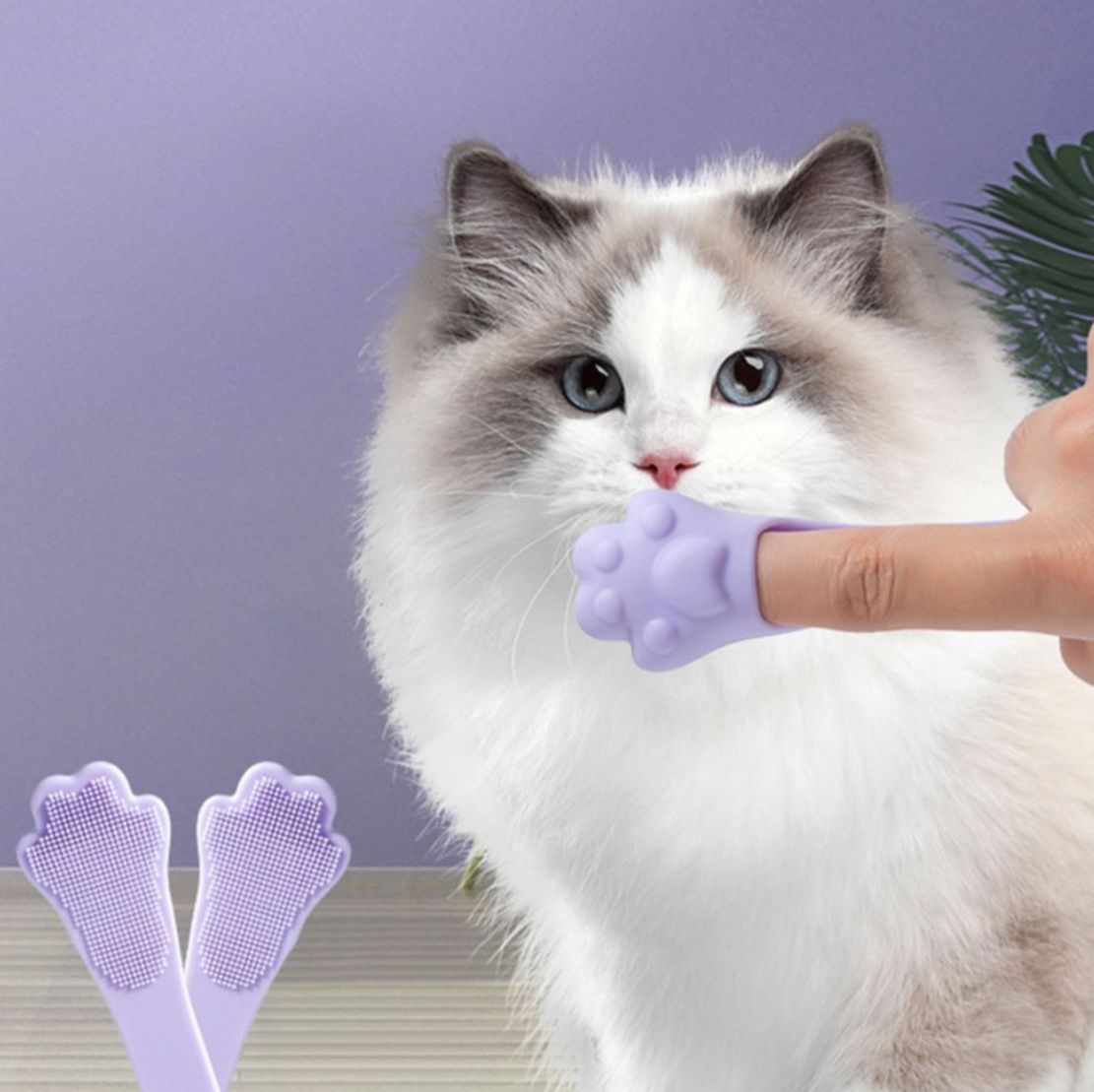 猫グッズ 猫ちゃん肉球歯ブラシ