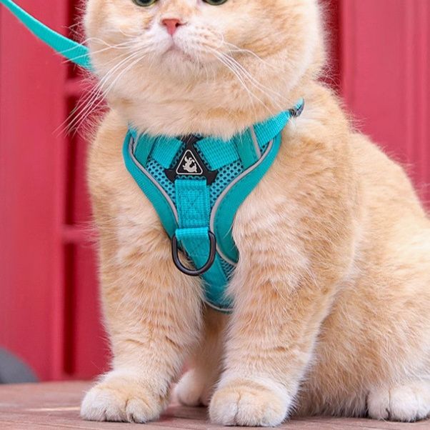猫グッズ 猫用避難確保ハーネス