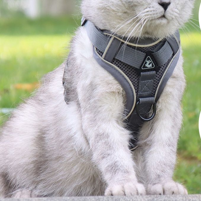 猫グッズ 猫用避難確保ハーネス