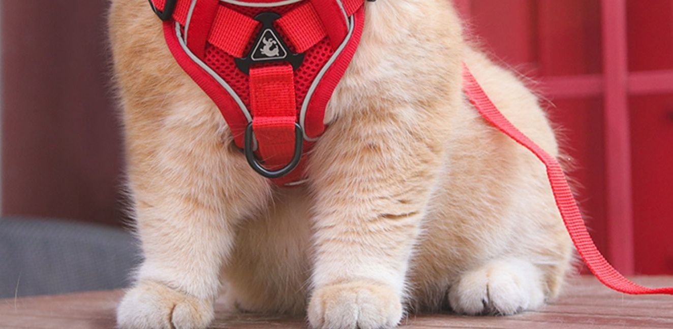 猫グッズ 猫用避難確保ハーネス